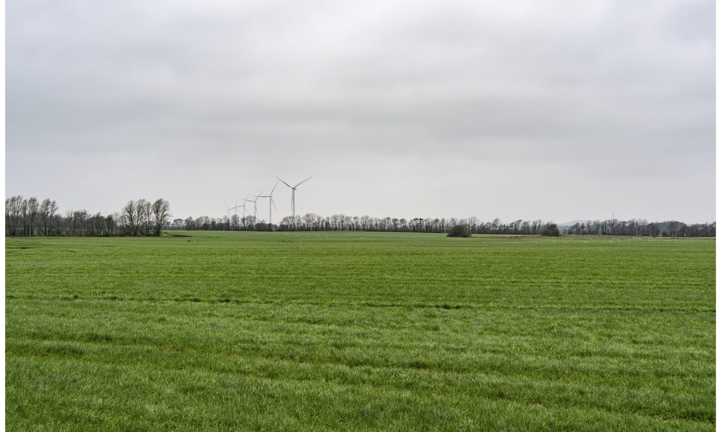 Visualiseringer_Vindmøller og Solceller ved Svoldrup Kær_29-01-2023_68